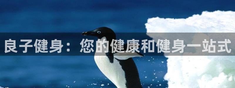龙8游戏官方进入