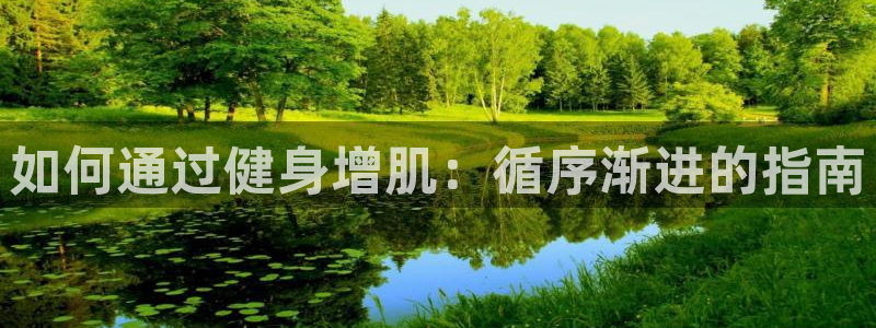 龙8国际pt官方网址
