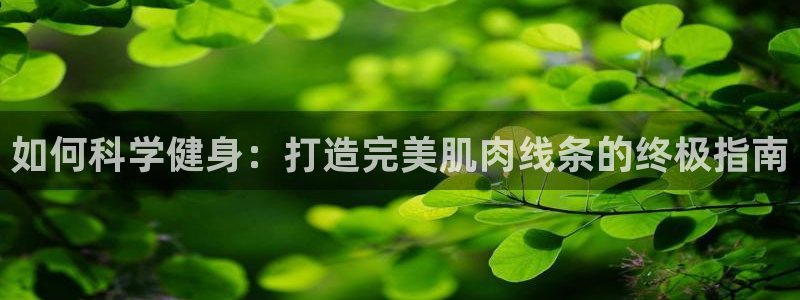 龙8app 国际