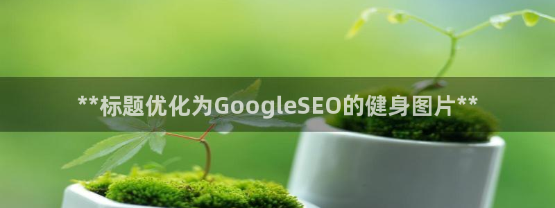 龙8国际pt官方网址