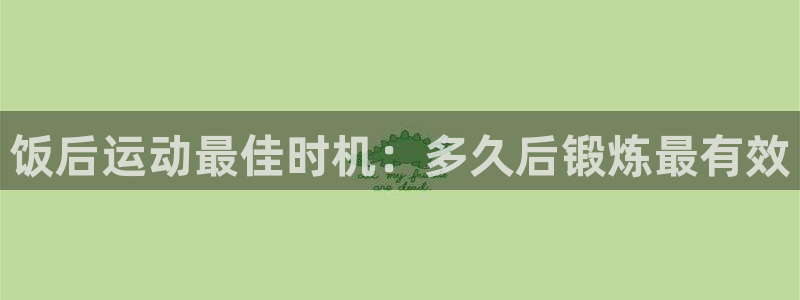 龙八国际网页登录