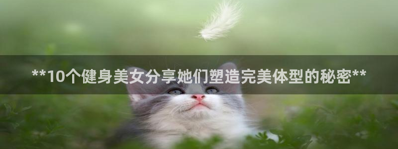 龙8游戏国际登录