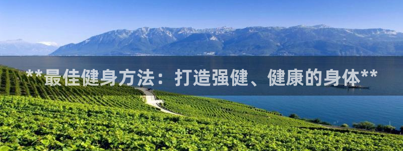 龙8国际备用
