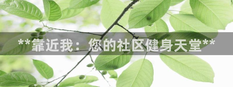 龙8游戏官网