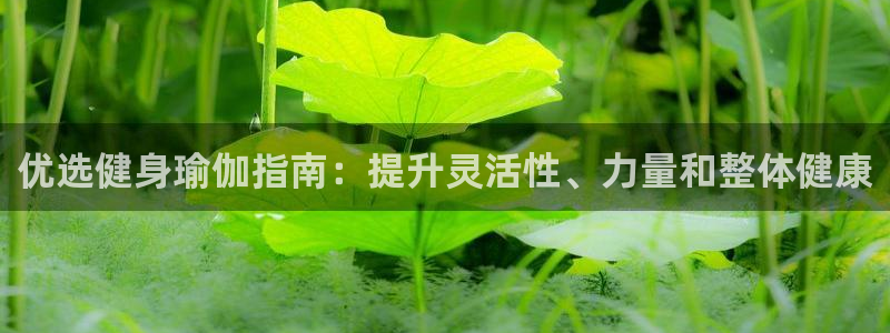 龙8国际中国唯一官方网站