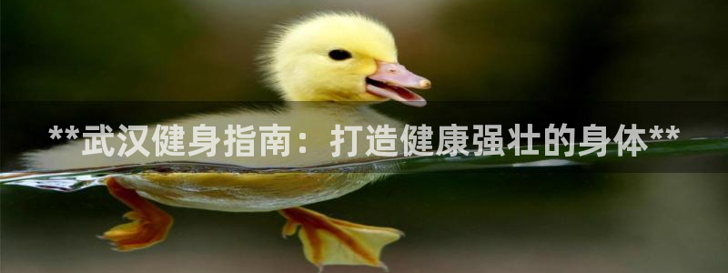 龙8国际官方网