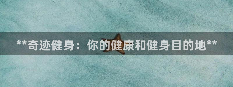 龙8国际平台