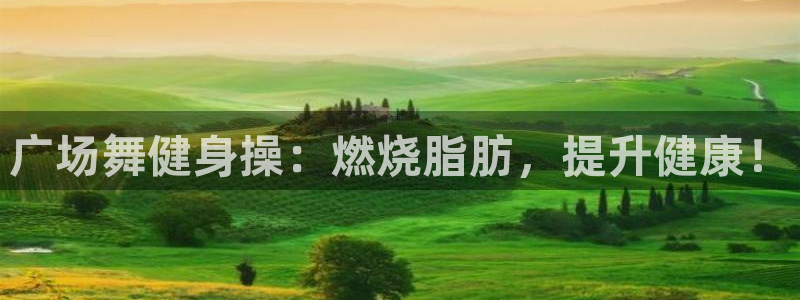 龙8国际的官网