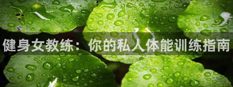 龙8国际游戏公司官网
