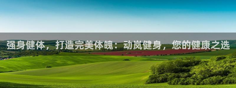 龙8国际手机版下载