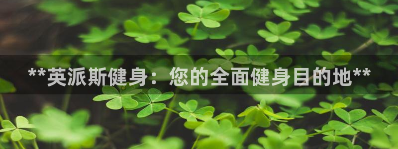 龙8国际游戏官网