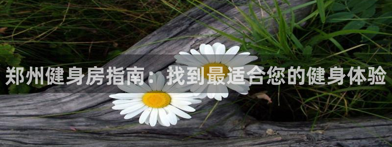 龙8国际老虎机游戏