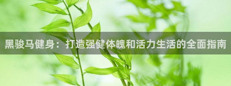 龙8国际为啥改名叫头号玩家了