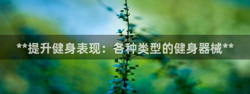龙8国际首页