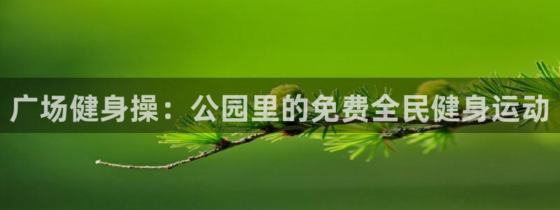 龙8国际平台登录