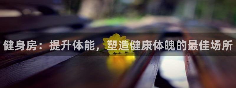 龙八国际娱乐官网app