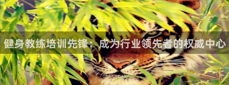 龙8-龙国际-long8-龙8游戏