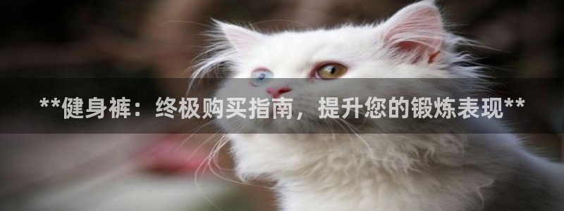龙8国际总代理