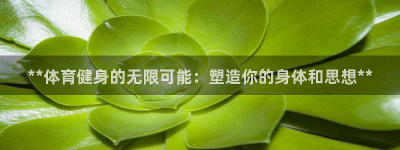 龙8国际ing