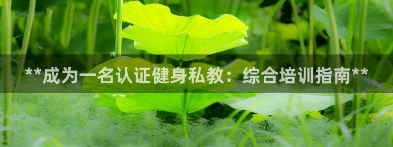 龙8国际ing