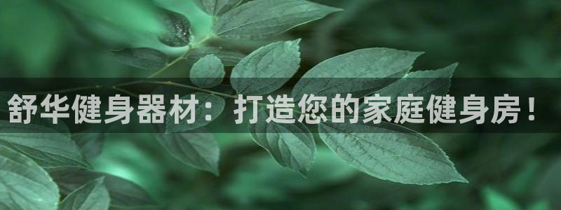 龙八国际娱乐老板是谁