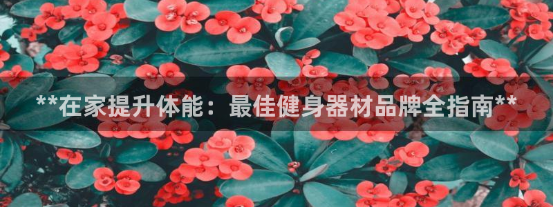 龙8国际-登录