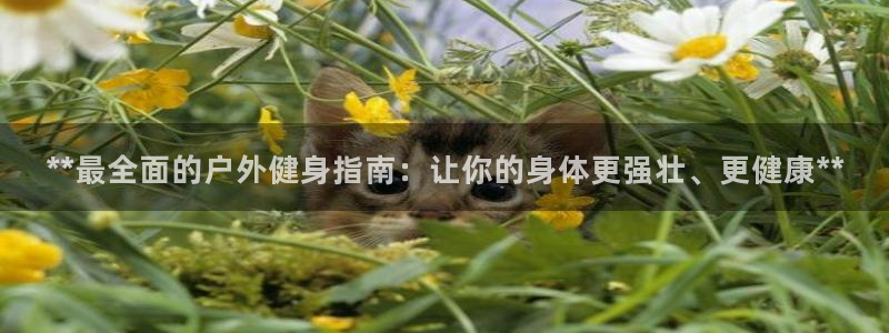 龙8国际龙8客户端