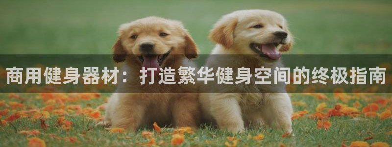 龙8国际游戏最新资讯