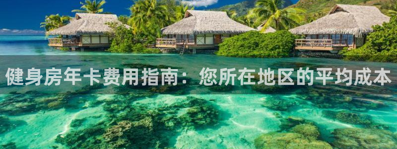 龙8国际官方网