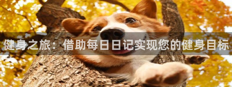 国际龙8唯一登陆