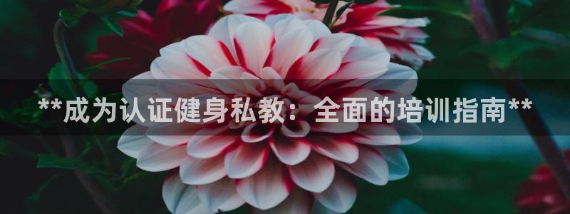 国际龙8下载