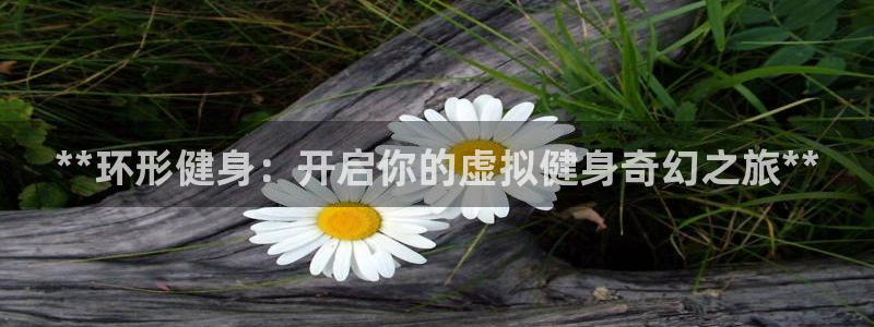 龙8国际线上