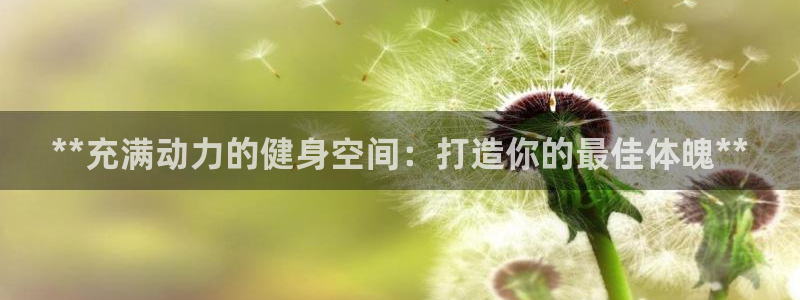 龙8国际官网多少