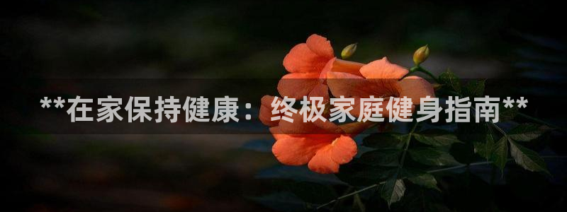 龙8国际long8龙8游戏