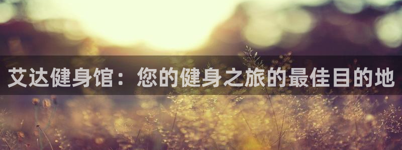 龙8游戏官方进入