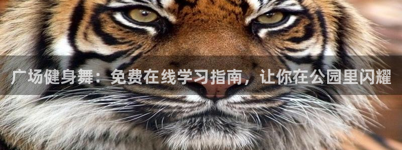 龙8国际官方网站苹果版