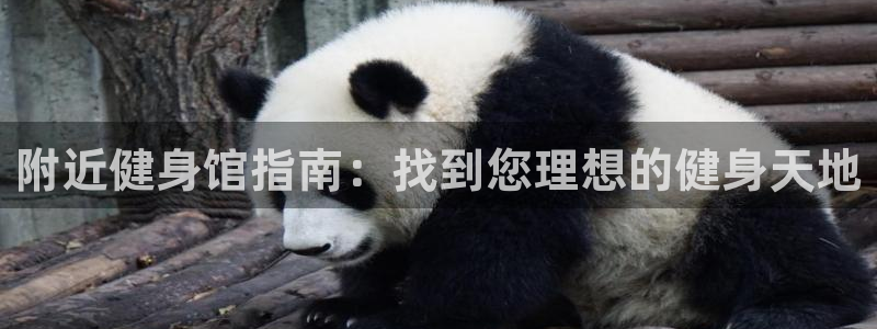 龙8国际安卓版
