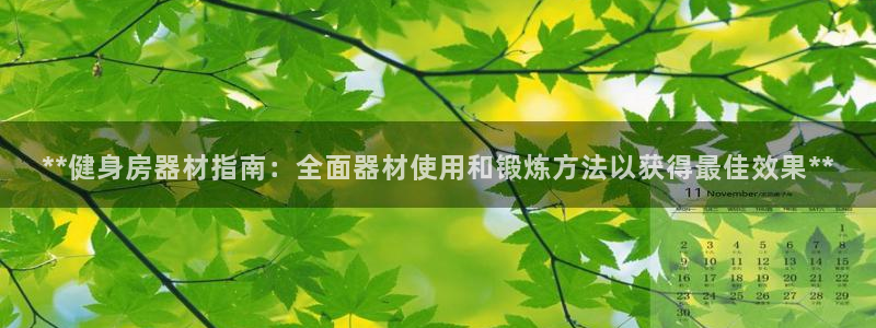 龙8国际手机版注册