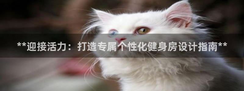 开户送88元体验金网站