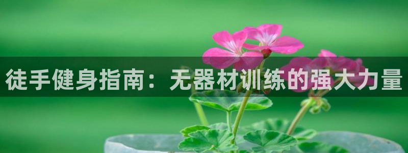 龙8游戏官方进入