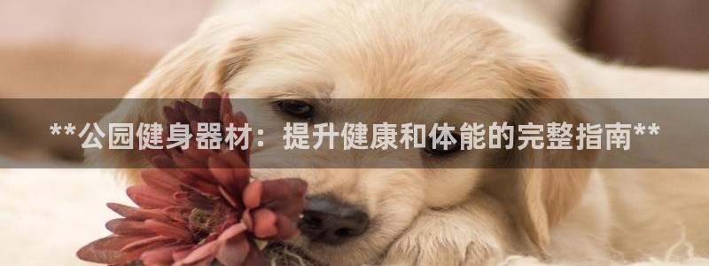 龙八国际下载官网平台