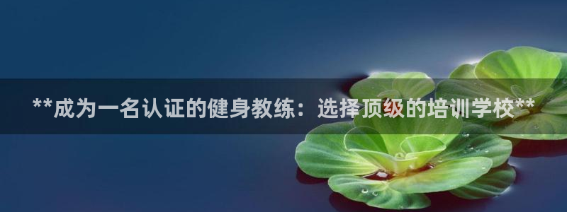 龙八国际pt