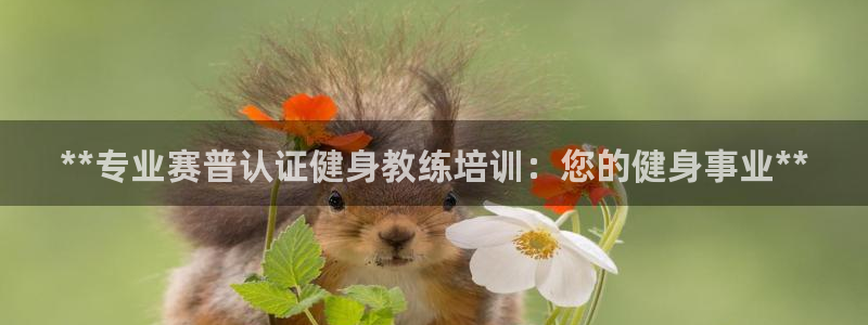龙8国际龙8客户端