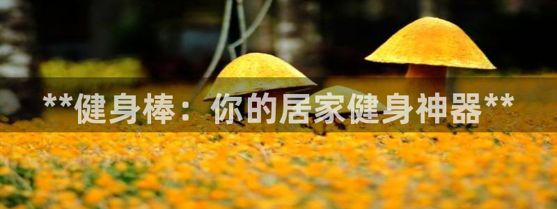 龙8国际免费试玩