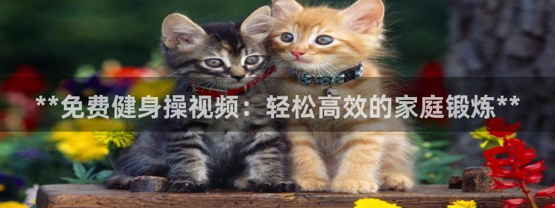龙 八国际