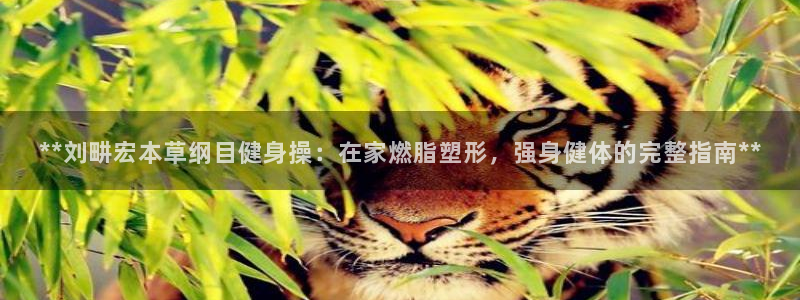 龙8app 国际