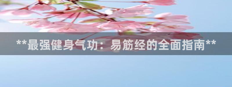 龙8国际的官网
