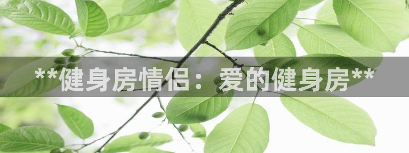 龙8 国际