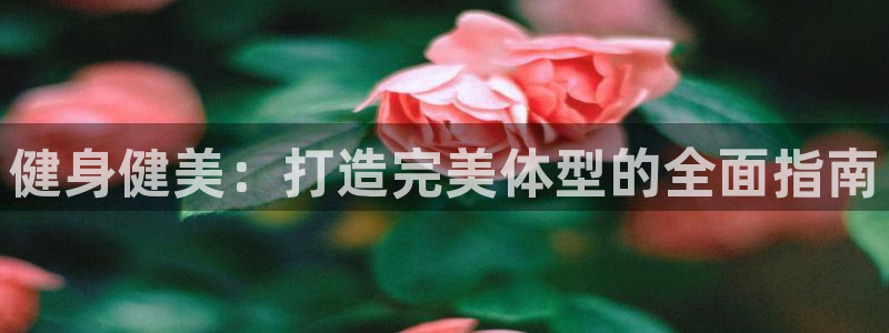 龙8国际老虎机官网