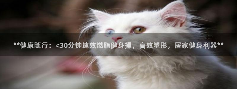 龙8国际pt官网